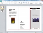 Office Professional 2010: Publisher