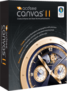 Canvas 11