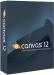 Canvas 12