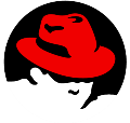 Red Hat Enterprise Virtualization for Servers