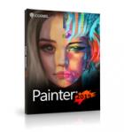 Painter 2019