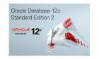 Oracle Database Standard Edition