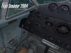 MFS 2004 CF