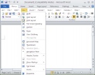 Office Home and Business 2010: Word