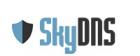 SkyDNS Домашний