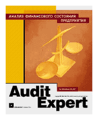 Audit Expert 3 Professional