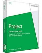 Project Professional 2013